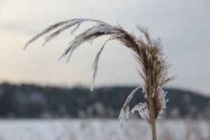 joutsenmerkitty_omakotitalo_joutsentalo_rakennusblogi